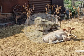 Ямбол - акция срещу кражба на вода