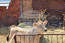 Ямбол - акция срещу кражба на вода