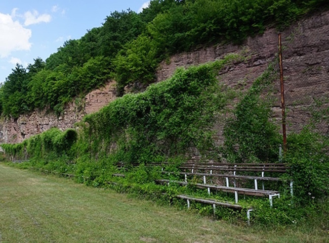 Започват снимките на нова спортна комедия 