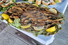 Каварна - Миден и рибен фест