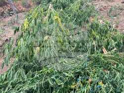 Снимка: МВР