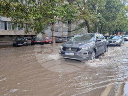 Търговище - интензивен дъжд