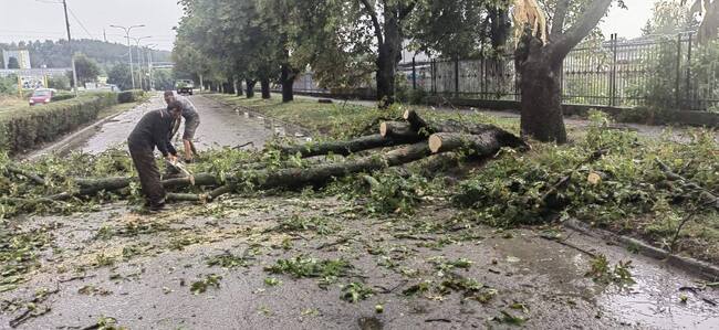 Паднали дървета и клони след бурята в Търговище разчистват екипи на общинските предприятия 