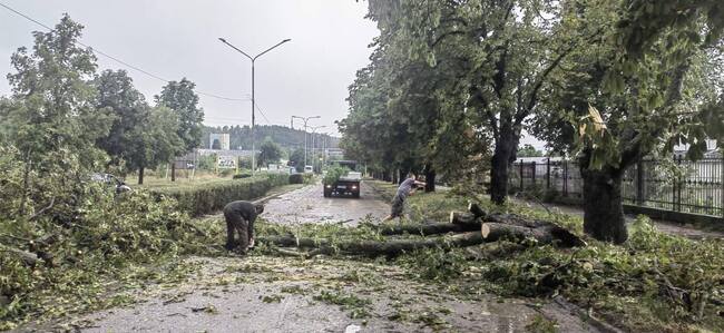 Поривите на вятъра по време на разразилата се над Търговище буря са били между 76 и 86 километра в час