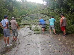 село Ловец - буря - паднал клон