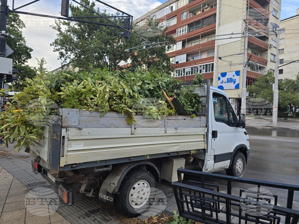 В Плевен при лятна буря за шест минути паднаха осем литра дъжд на квадратен метър