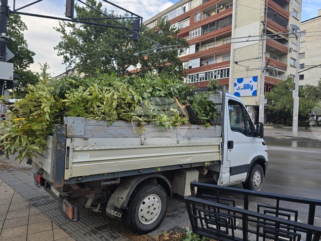 В Плевен при лятна буря за шест минути паднаха осем литра дъжд на квадратен метър