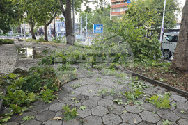 Плевен - буря - щети