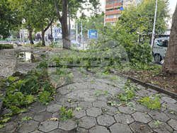 Плевен - буря - щети