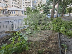 Плевен - буря - щети