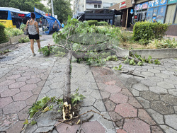 Плевен - буря - щети