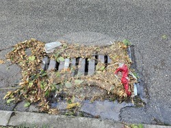 Плевен - буря - щети