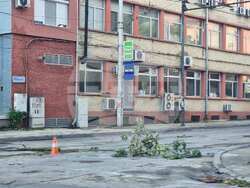 Плевен - буря - дъжд - вятър