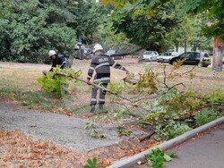 Снимка: Община Русе