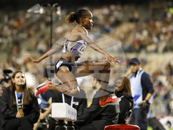 Belgium Athletics Diamond League