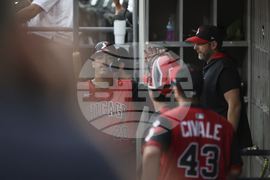 Twins White Sox Baseball