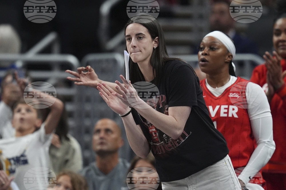 Lynx Fever Basketball