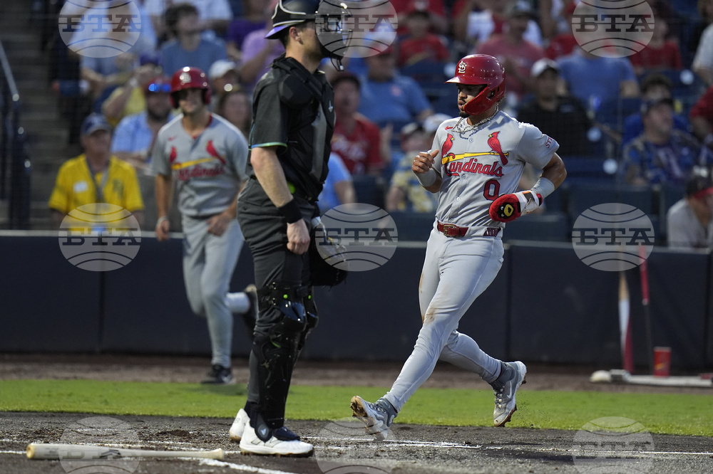 Cardinals Rays Baseball