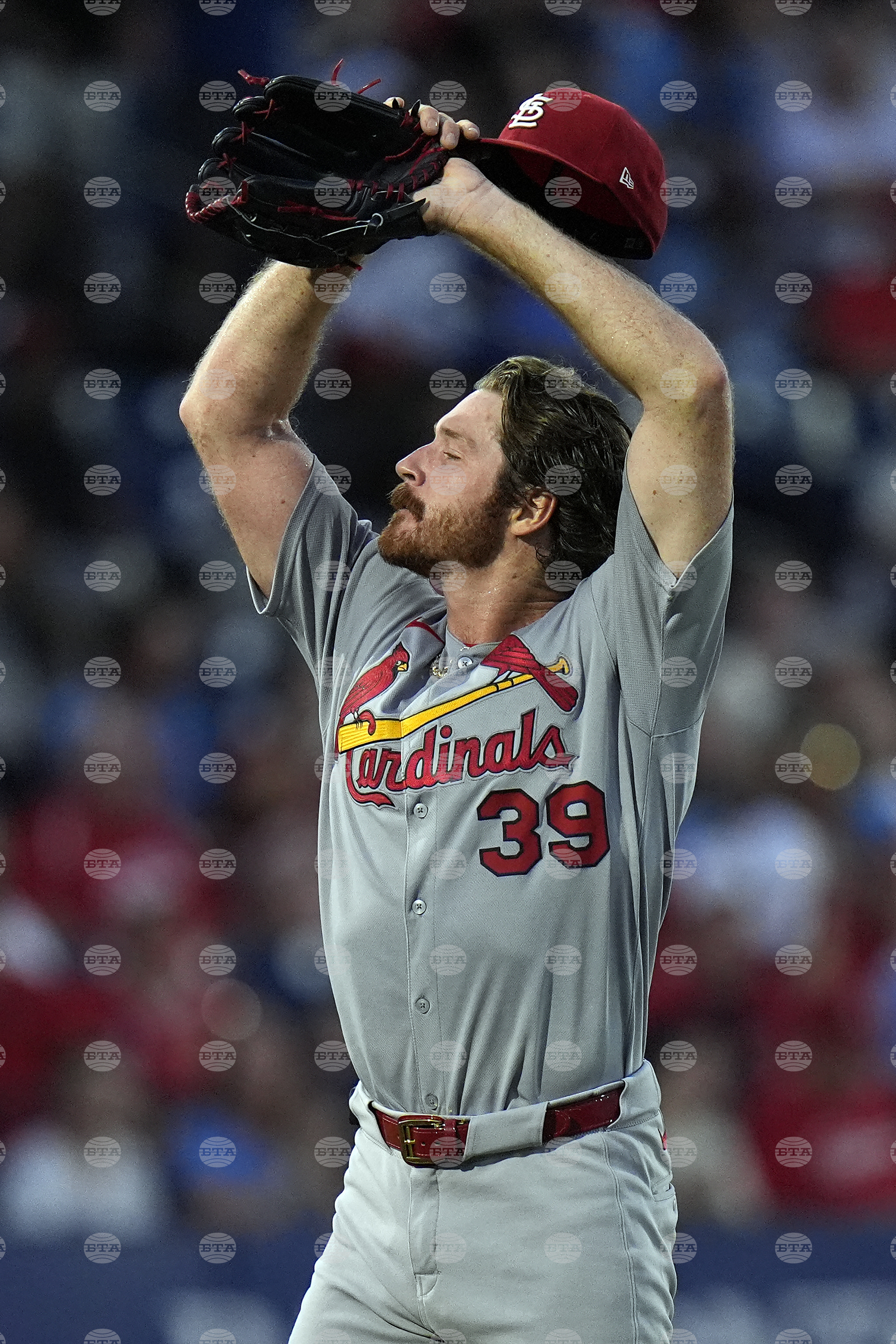 Cardinals Rays Baseball