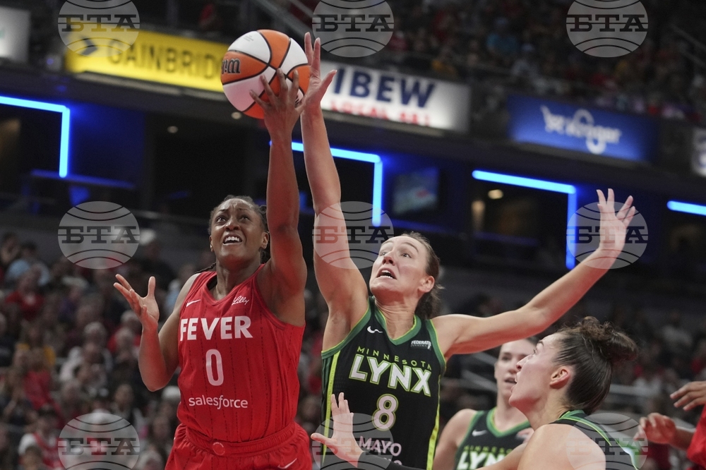 Lynx Fever Basketball