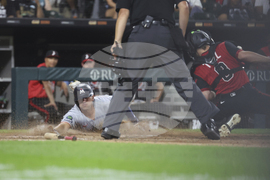 Twins White Sox Baseball