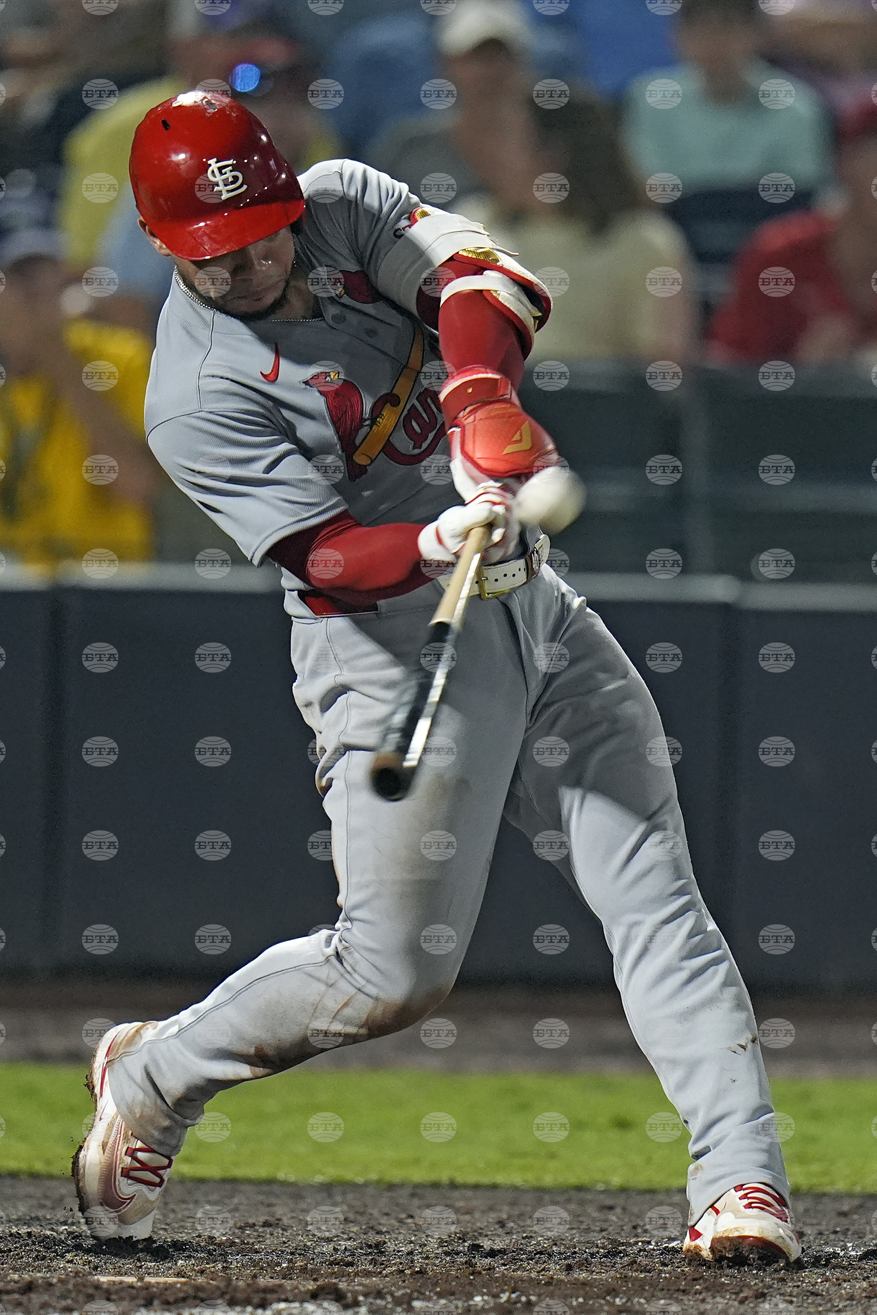 Cardinals Rays Baseball