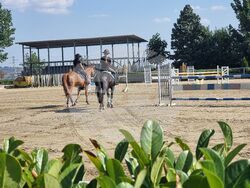 Село Кабиле - конна база