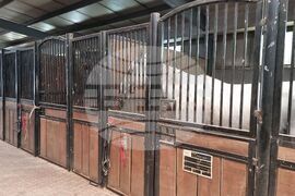 Село Кабиле - конна база