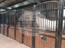 Село Кабиле - конна база