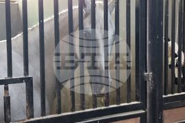 Село Кабиле - конна база