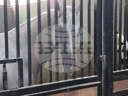 Село Кабиле - конна база