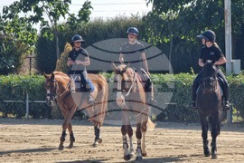 Село Кабиле - конна база