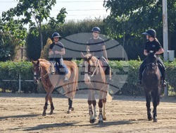 Село Кабиле - конна база