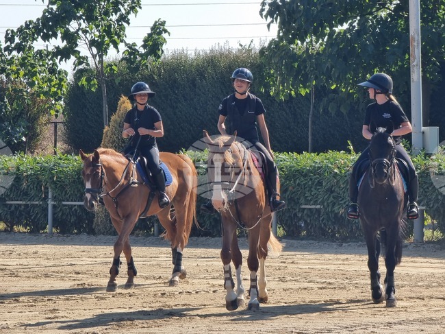 Конната база в село Кабиле край Ямбол се подготвя да посрещне третия кръг от „Купа България“ по прескачане на препятствия