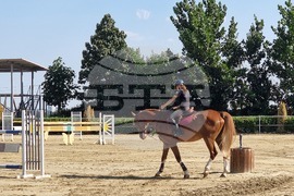 Село Кабиле - конна база