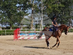 Село Кабиле - конна база