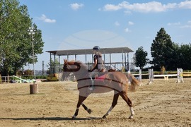 Село Кабиле - конна база