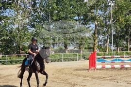 Село Кабиле - конна база