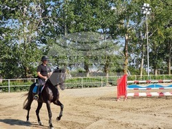 Село Кабиле - конна база