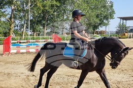 Село Кабиле - конна база