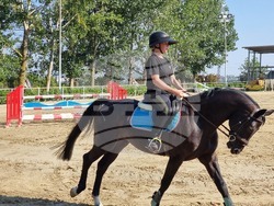 Село Кабиле - конна база