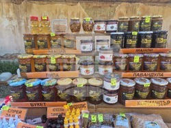 Троян - Национална пчеларска среща "Север - Юг"