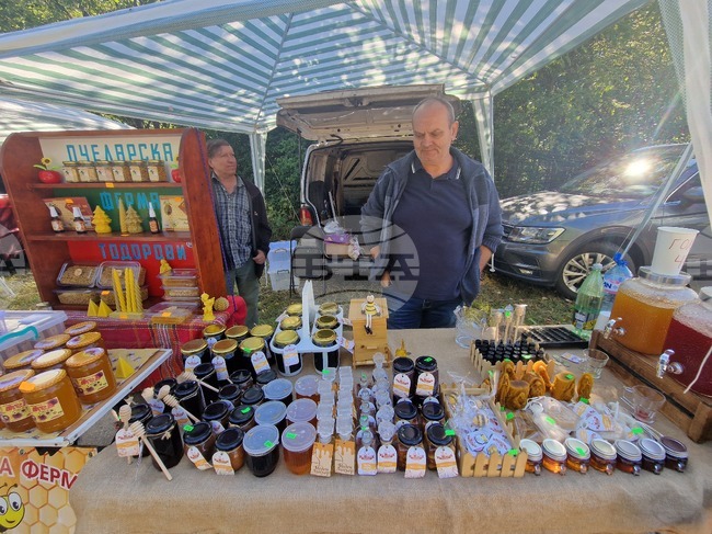 Beekeepers Cite Climate Change, Bee Diseases and Bear Attacks as Key Challenges