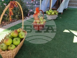 Село Екзарх Йосиф - празник на ябълката