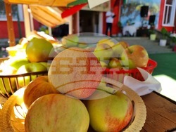 Село Екзарх Йосиф - празник на ябълката