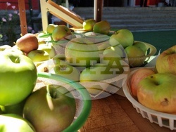 Село Екзарх Йосиф - празник на ябълката