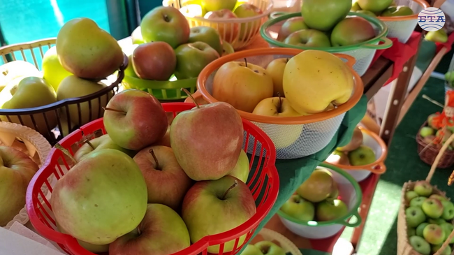 Празник на ябълката се организира днес в русенското село Екзарх Йосиф