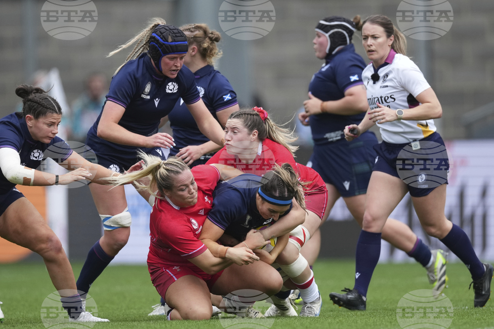 RWC Scotland Wales Rugby