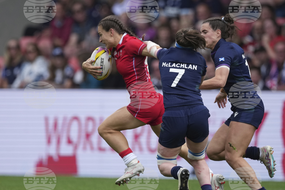 RWC Scotland Wales Rugby