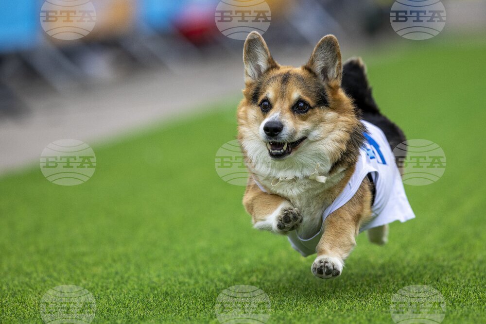 Lithuania Corgi Racing